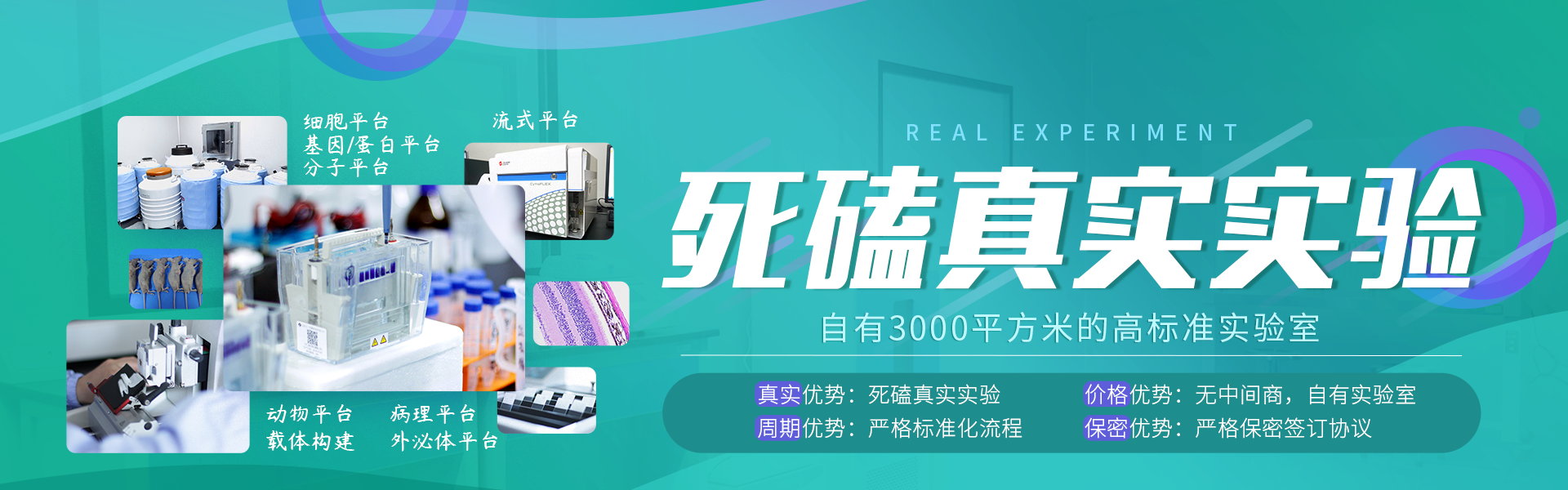 官网】普拉特泽生物_生物医学实验外包一站式科研服务平台_动物造模实验_细胞实验_分子实验_病理组织染色_医学课题服务